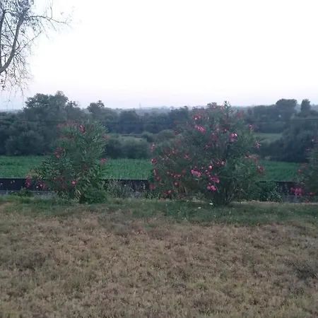 Farm stay Quinta Da Francelina