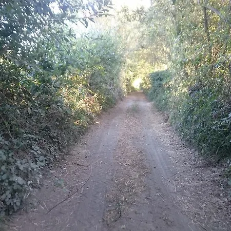Quinta Da Francelina Albergaria-a-Velha